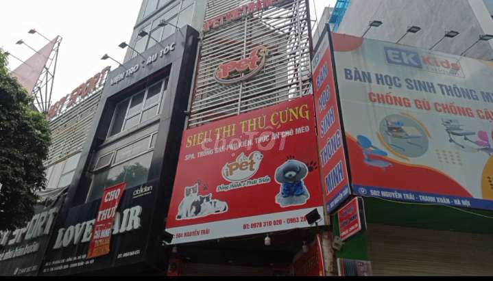4330976 ảnh đại diện 1