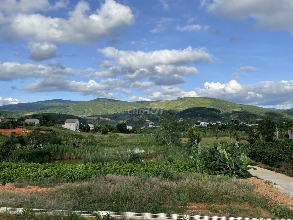 4330248 ảnh đại diện 1
