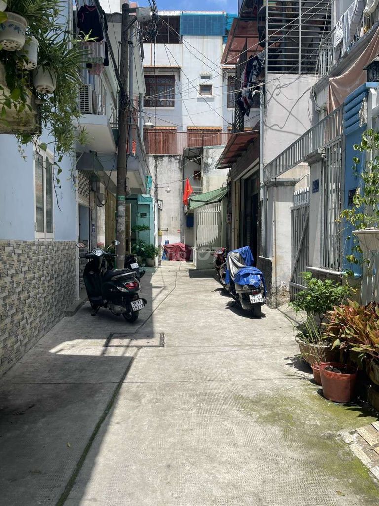 4333036 ảnh đại diện 1