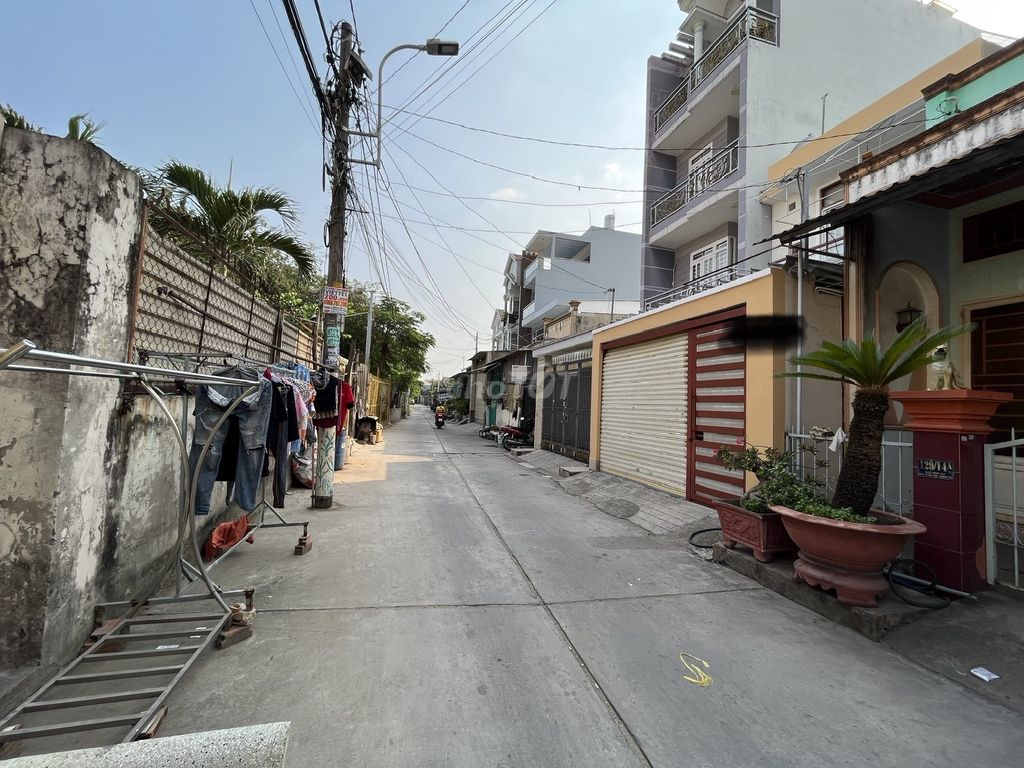4328997 ảnh đại diện 2