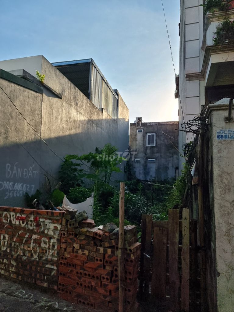 4329523 ảnh đại diện 2