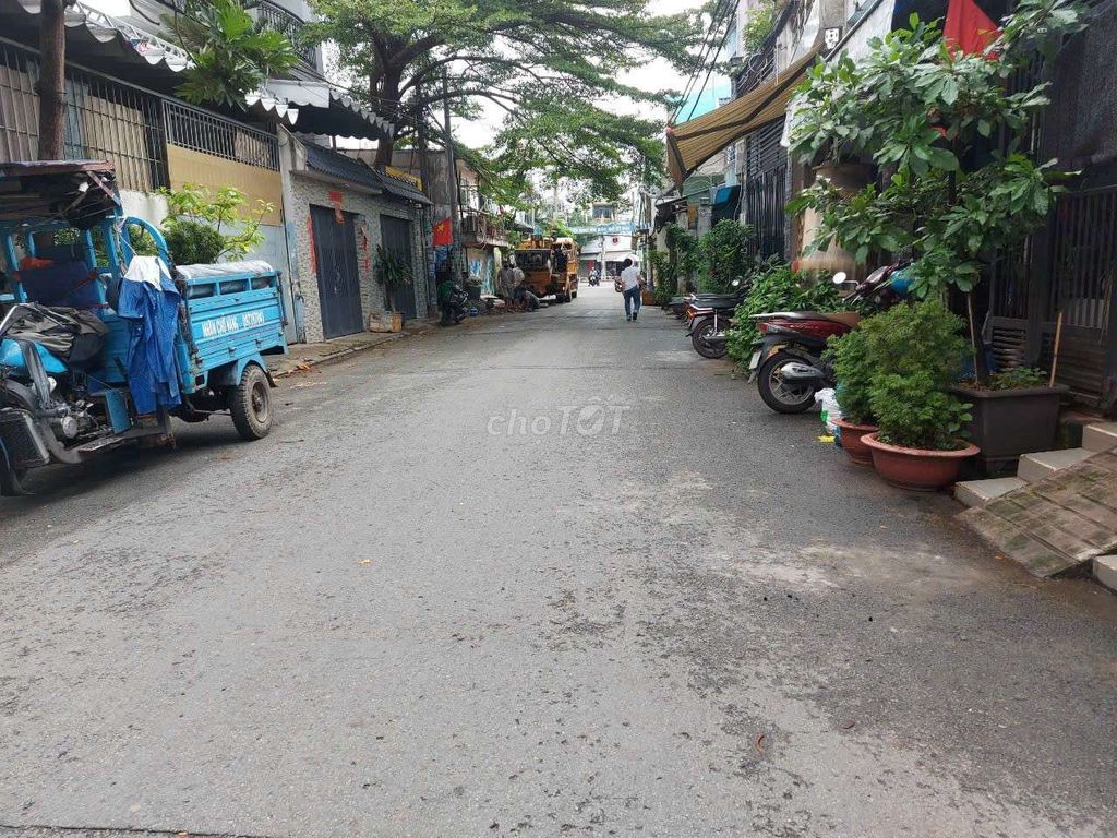 4331334 ảnh đại diện 1