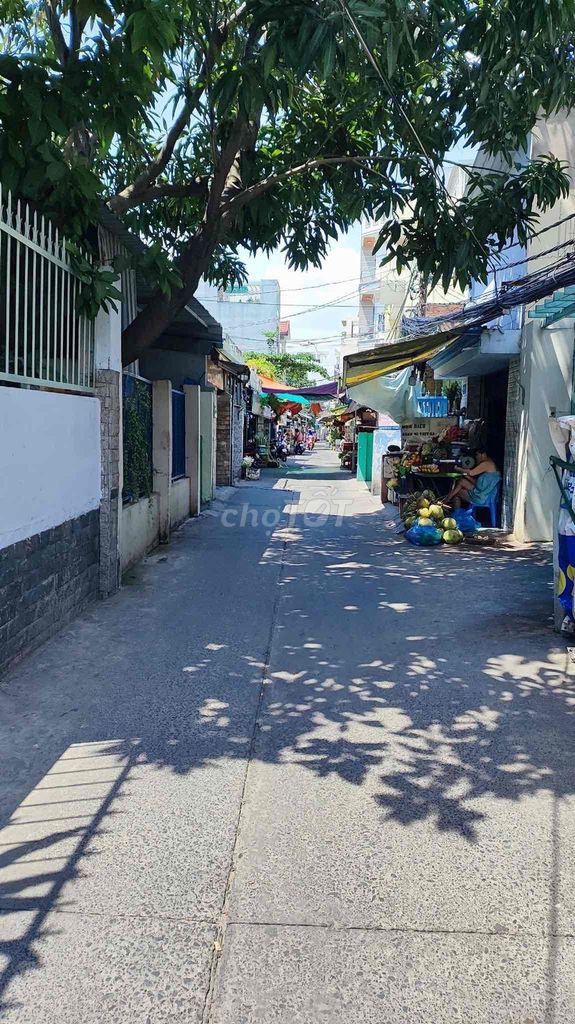 4334808 ảnh đại diện 1