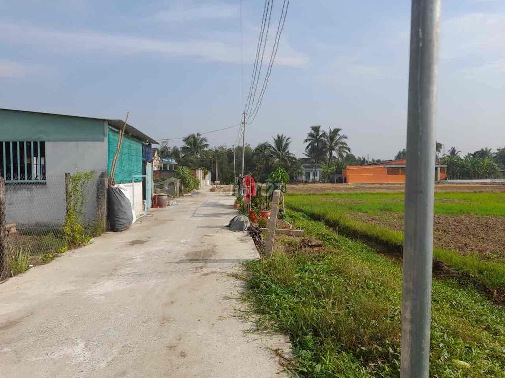 4334391 ảnh đại diện 1