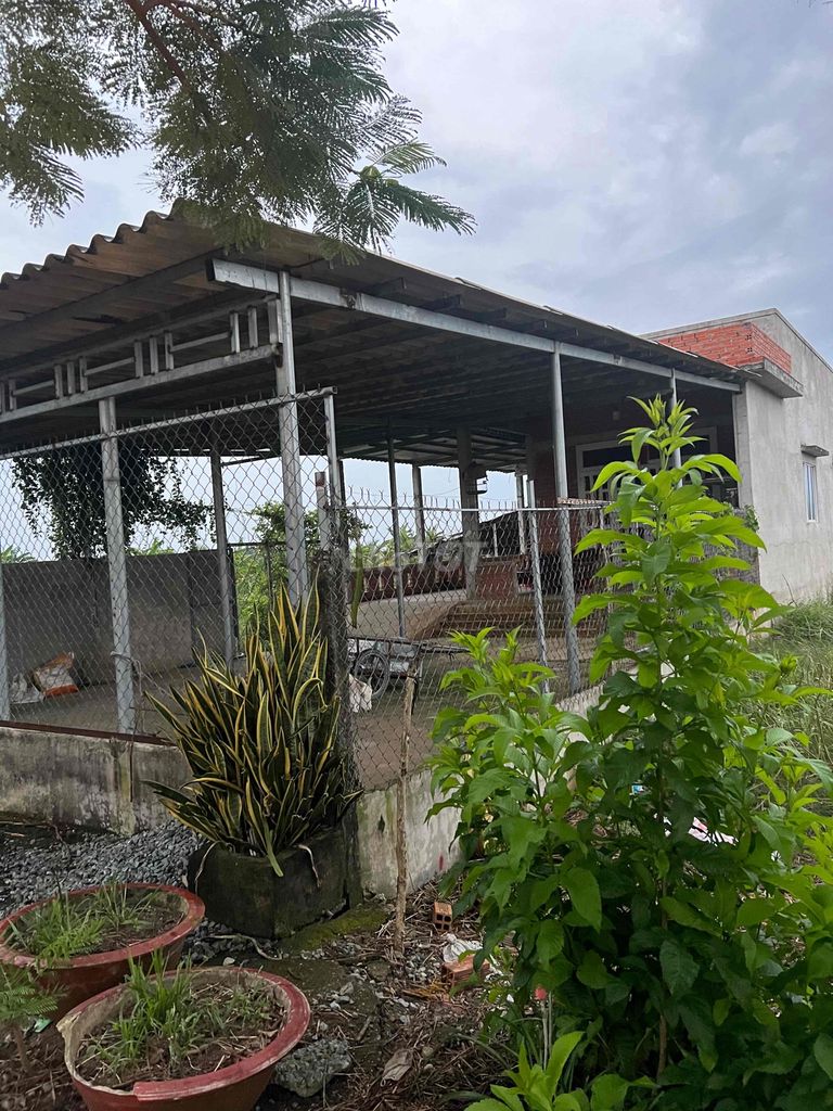 4330956 ảnh đại diện 2