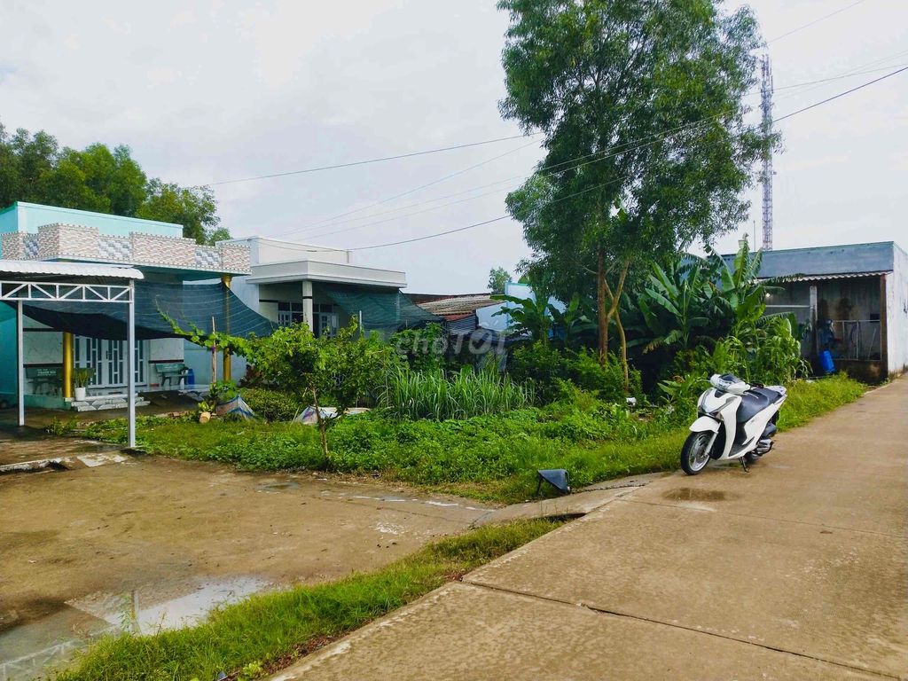 4330517 ảnh đại diện 1