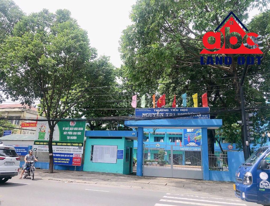 4331739 ảnh đại diện 2