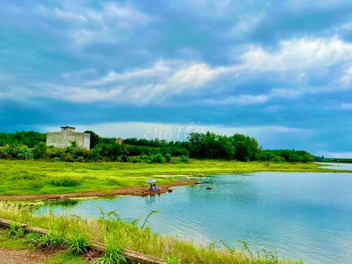 4330608 ảnh đại diện 1