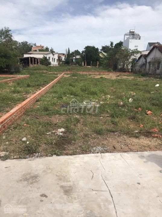 4329848 ảnh đại diện 1