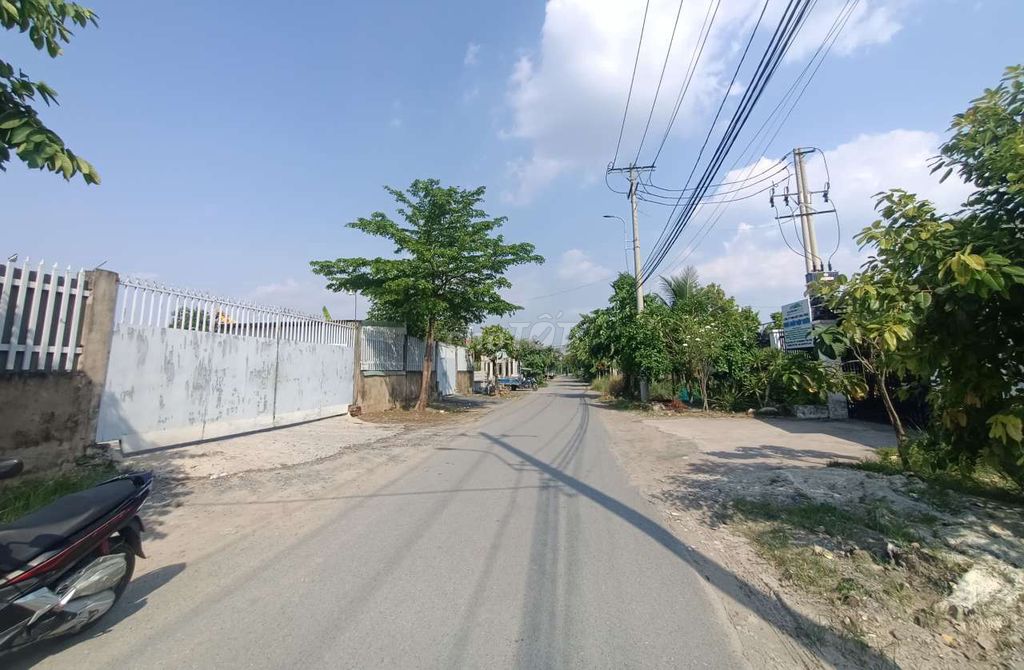 4329264 ảnh đại diện 1