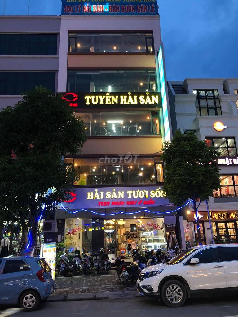 4327921 ảnh đại diện 1