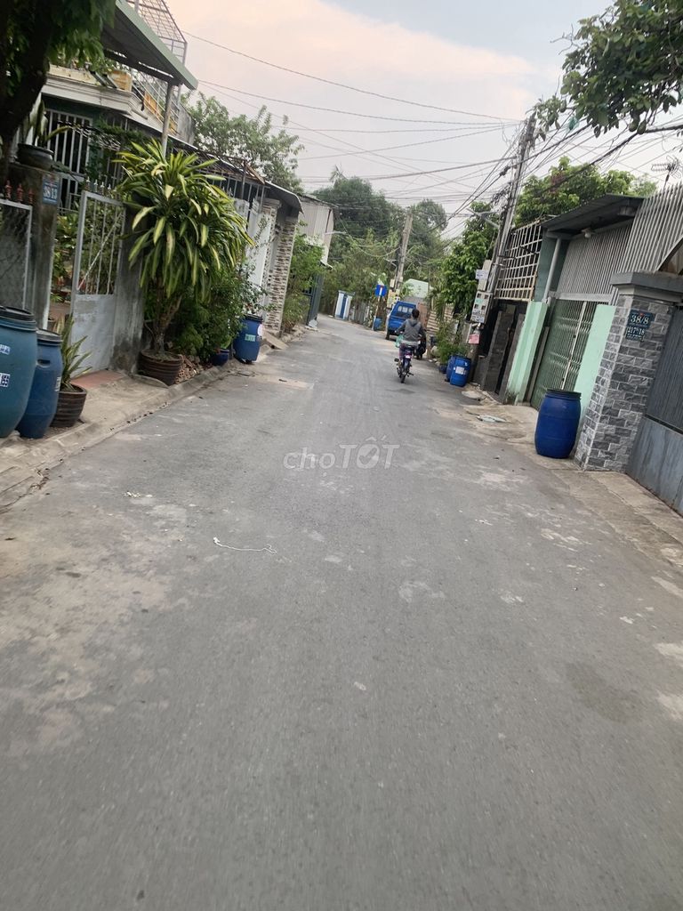 4327915 ảnh đại diện 2