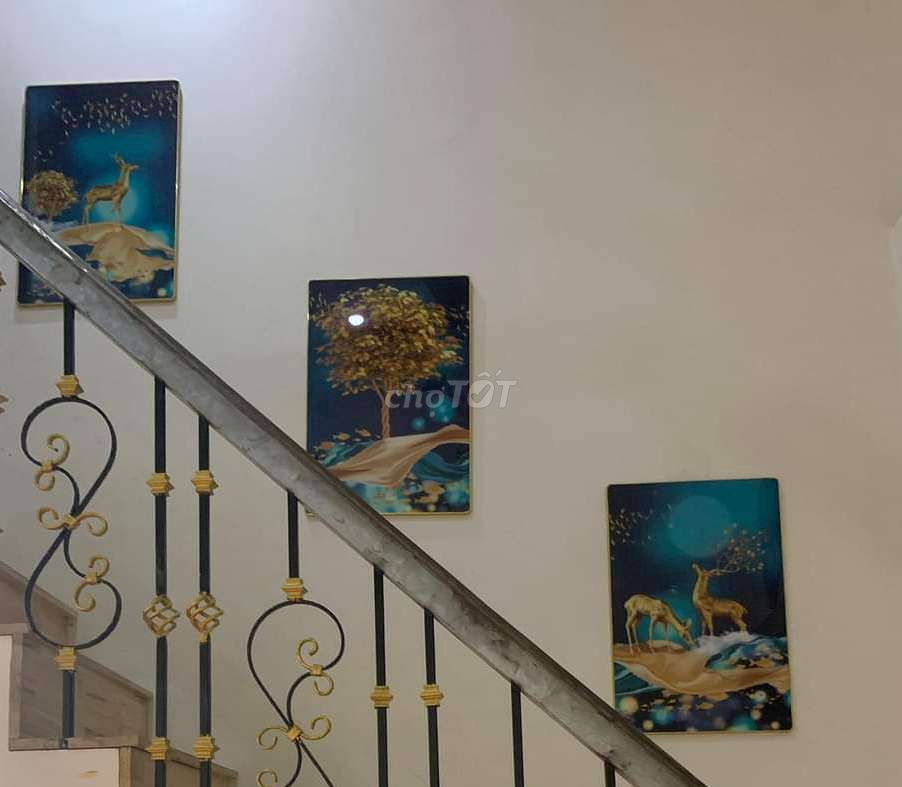 4331822 ảnh đại diện 1