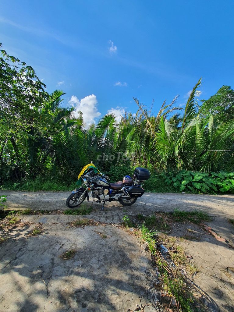 4329393 ảnh đại diện 1