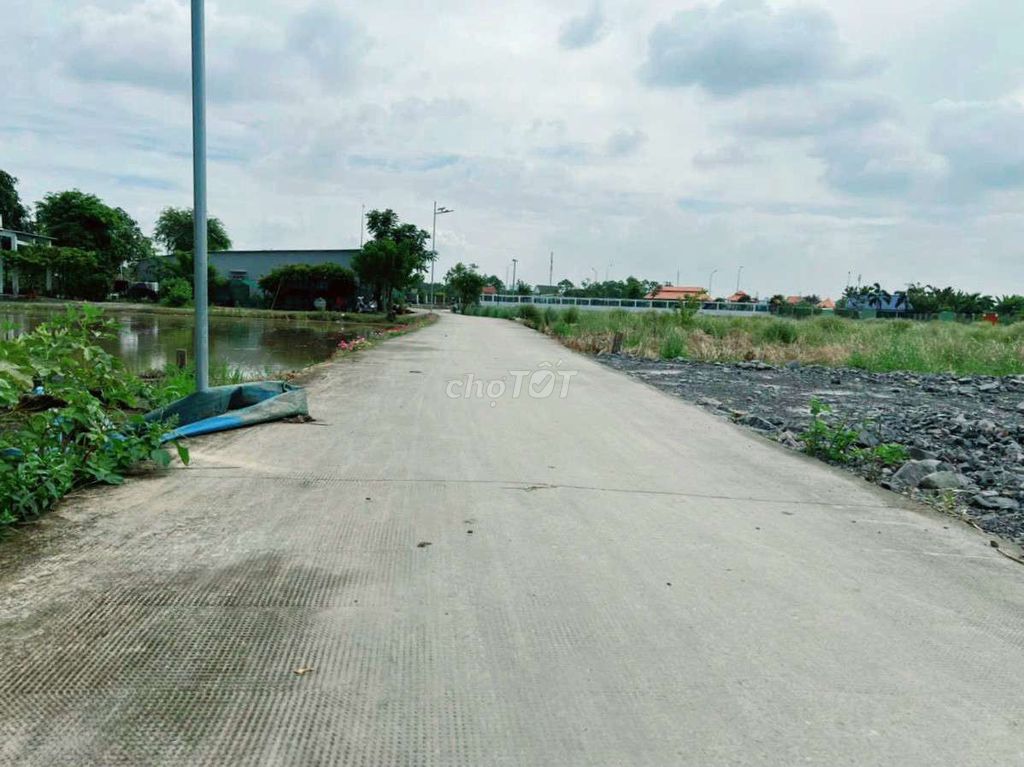 4331140 ảnh đại diện 1