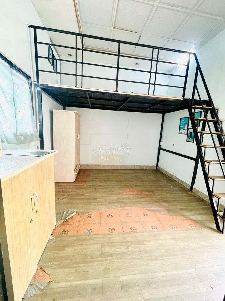 4334260 ảnh đại diện 2