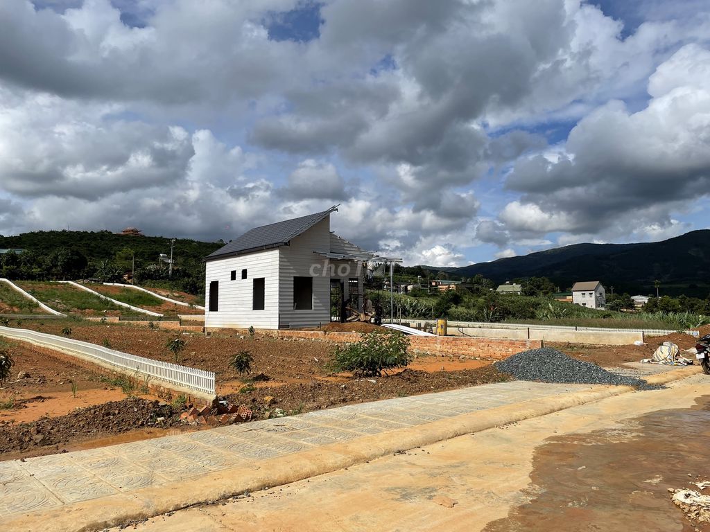 4330248 ảnh đại diện 2