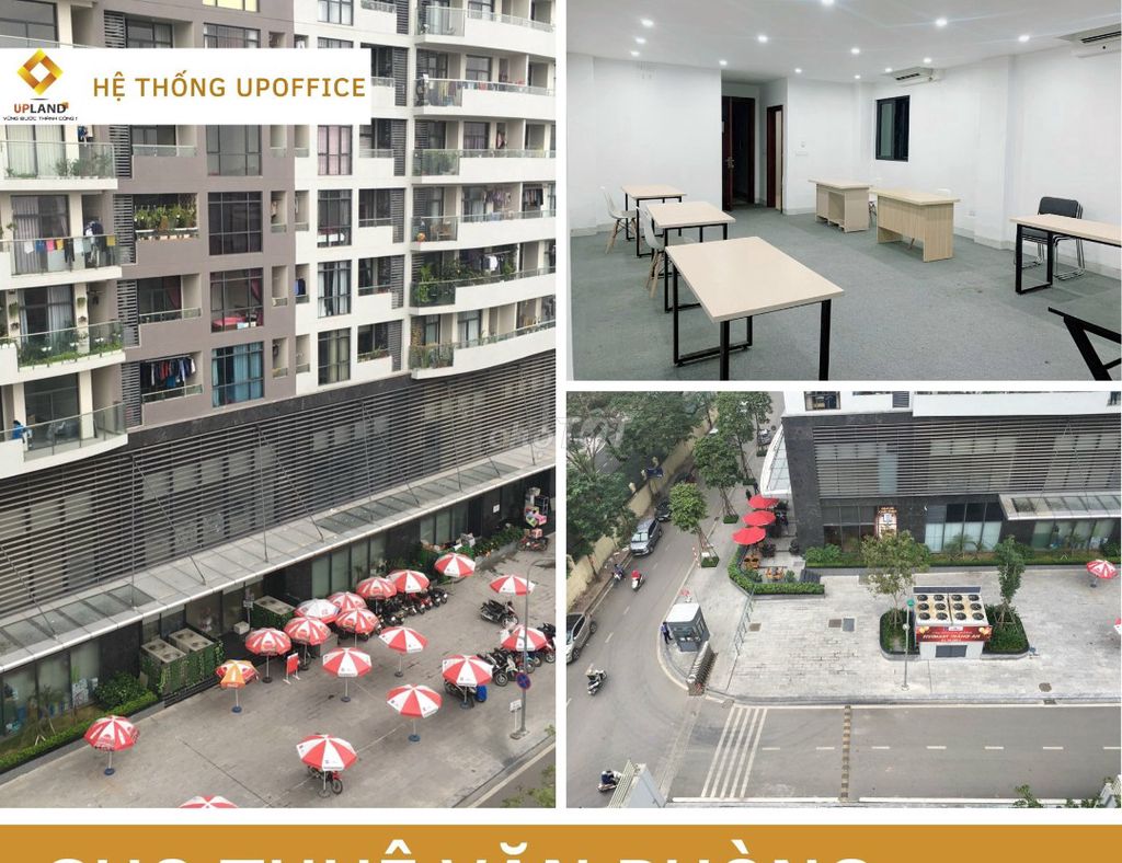 4329441 ảnh đại diện 2