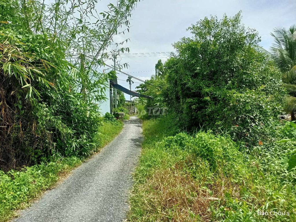 4329797 ảnh đại diện 2