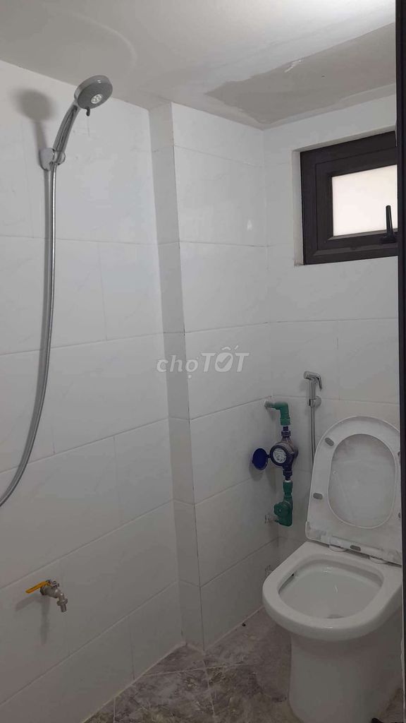 4332412 ảnh đại diện 1