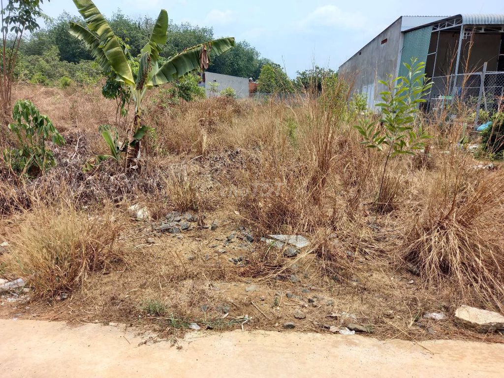 4330027 ảnh đại diện 1