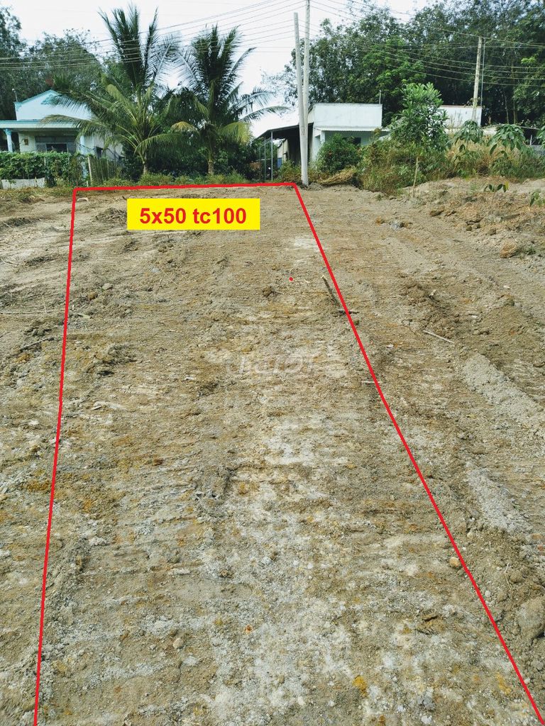 4328062 ảnh đại diện 2
