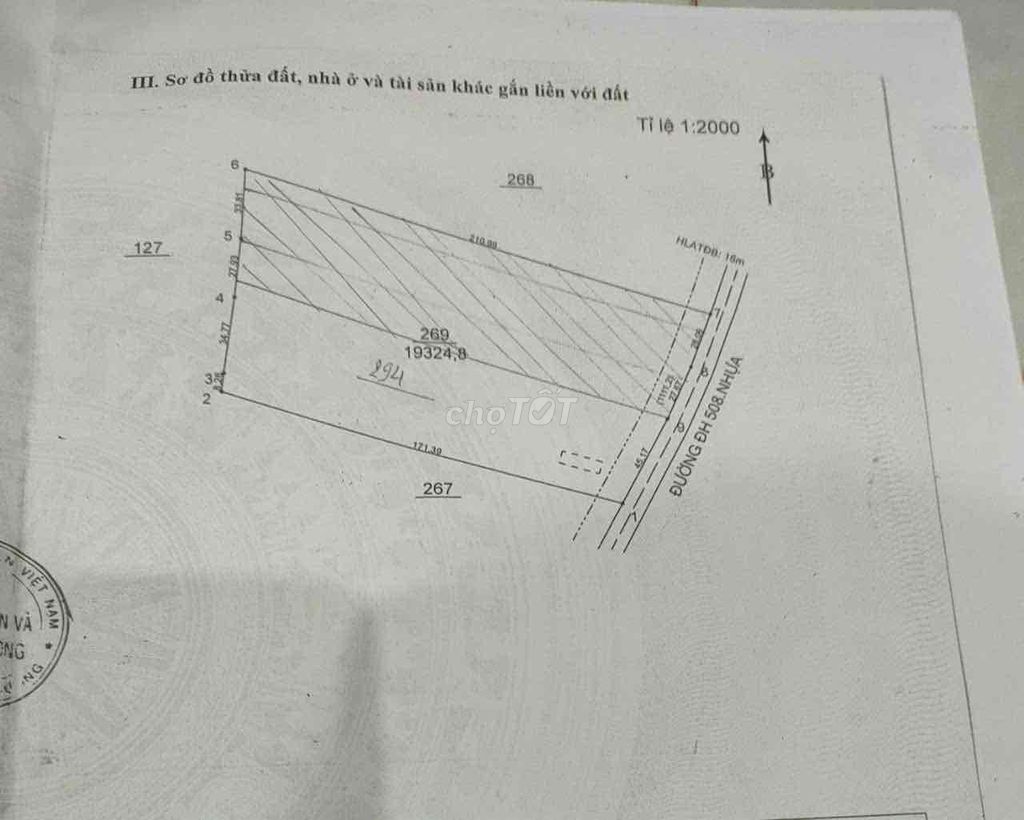 4330241 ảnh đại diện 1