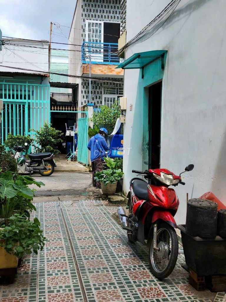 4334101 ảnh đại diện 2