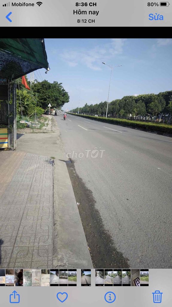 4328439 ảnh đại diện 1