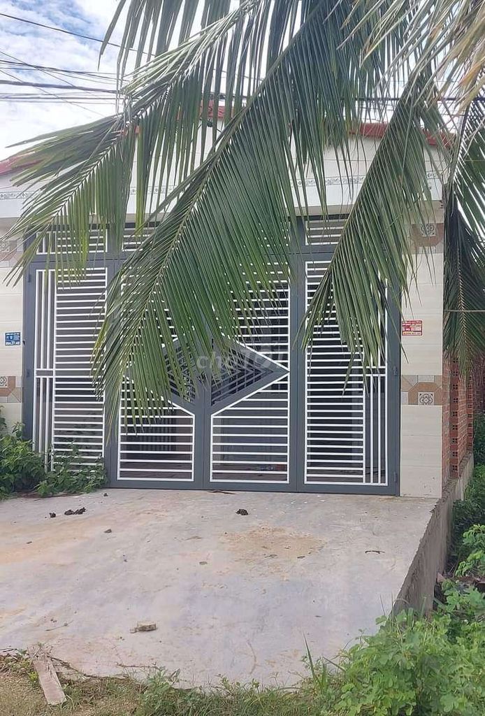 4327499 ảnh đại diện 1