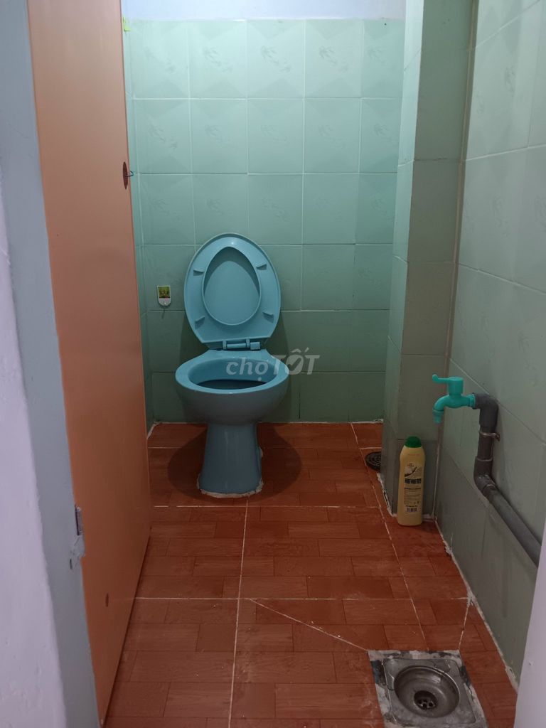 4329294 ảnh đại diện 1