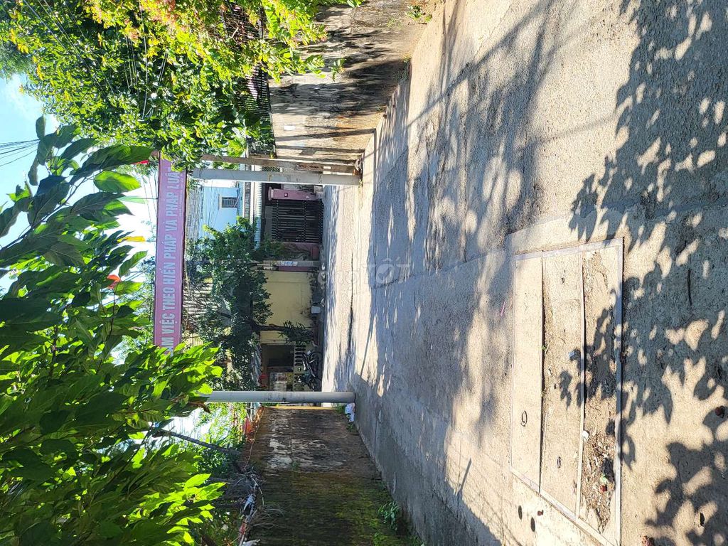 4333111 ảnh đại diện 2