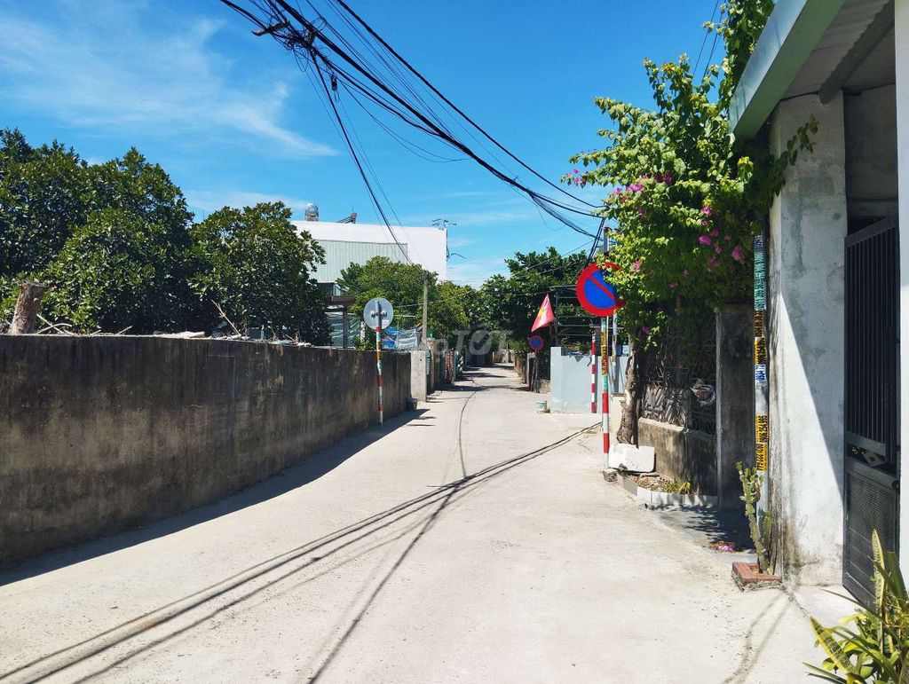 4335730 ảnh đại diện 2