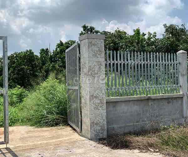 4329765 ảnh đại diện 2