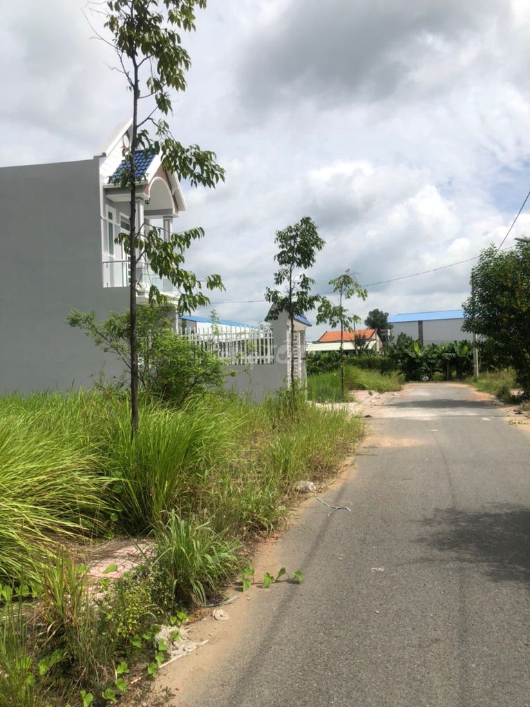 4330386 ảnh đại diện 1