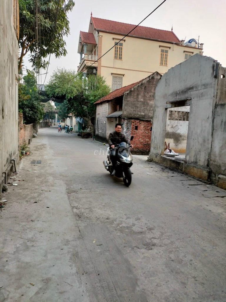 4330471 ảnh đại diện 1