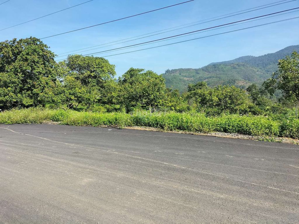 4328976 ảnh đại diện 1