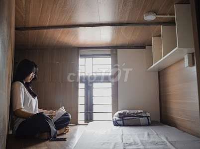 4328401 ảnh đại diện 1
