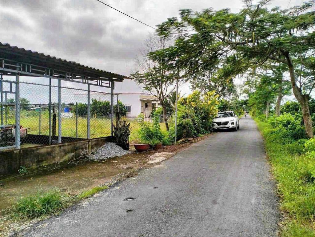 4330956 ảnh đại diện 1