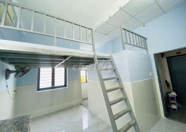 4330542 ảnh đại diện 2
