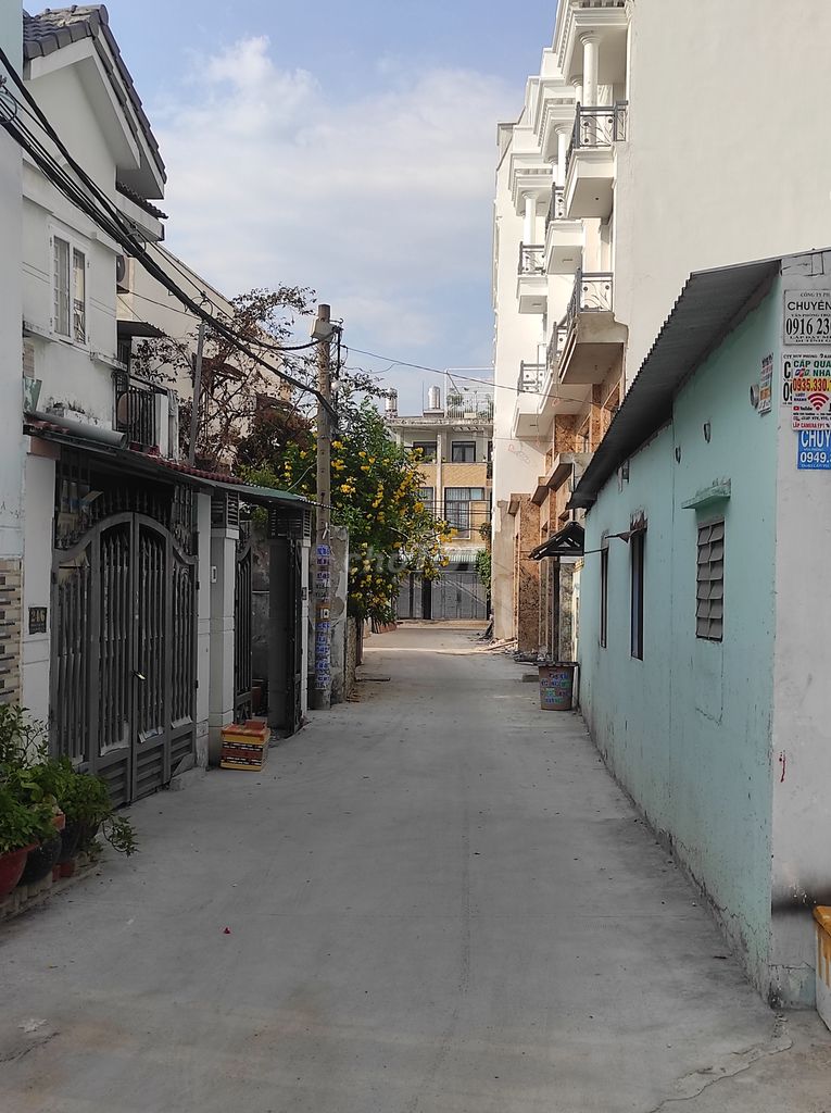 4333560 ảnh đại diện 1