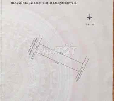 4327556 ảnh đại diện 2