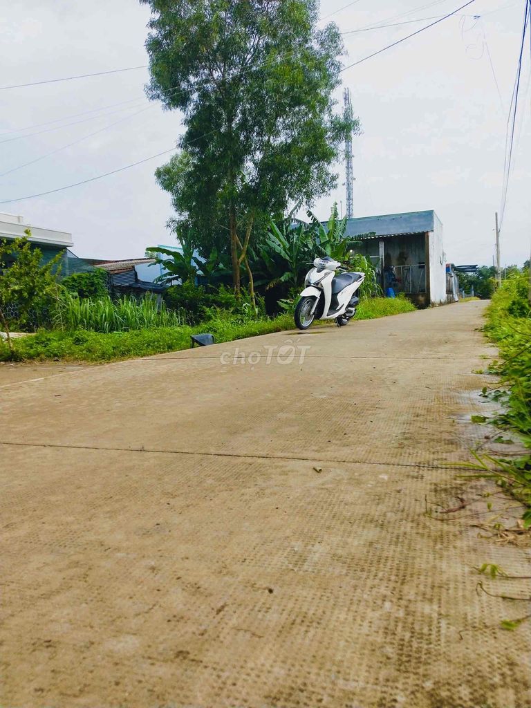 4330517 ảnh đại diện 1
