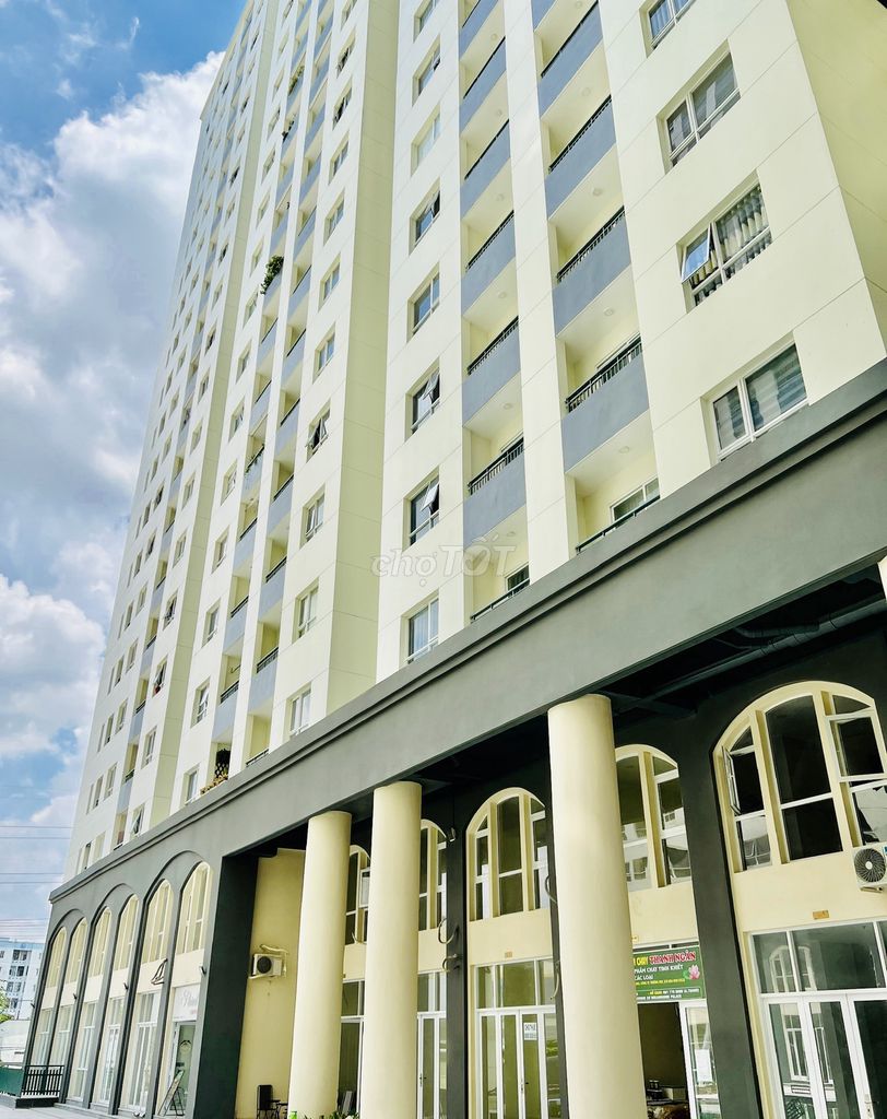 4328311 ảnh đại diện 2