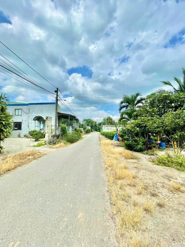 4329840 ảnh đại diện 2