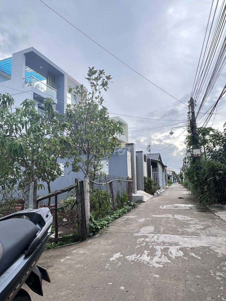 4335372 ảnh đại diện 2
