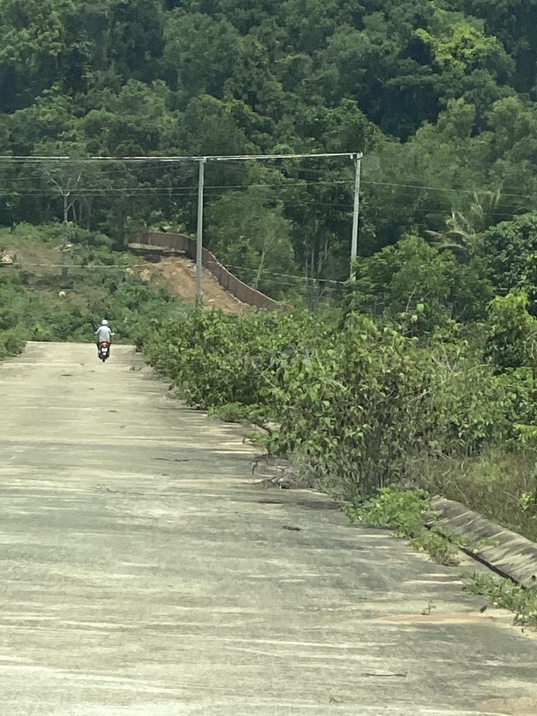 4331093 ảnh đại diện 1