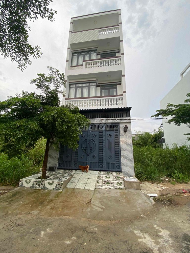 4330134 ảnh đại diện 1