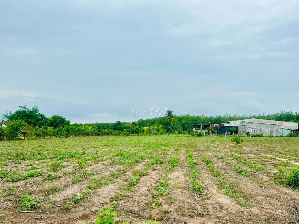 4328100 ảnh đại diện 1