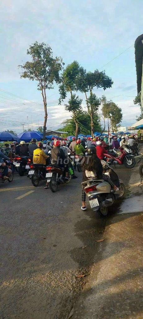 4329509 ảnh đại diện 2
